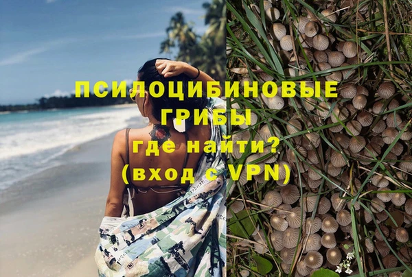 метадон Россошь
