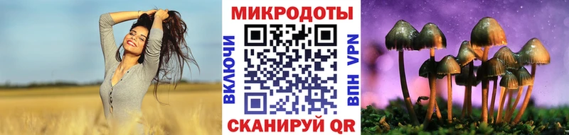 Псилоцибиновые грибы прущие грибы  Купить  Сосенский 